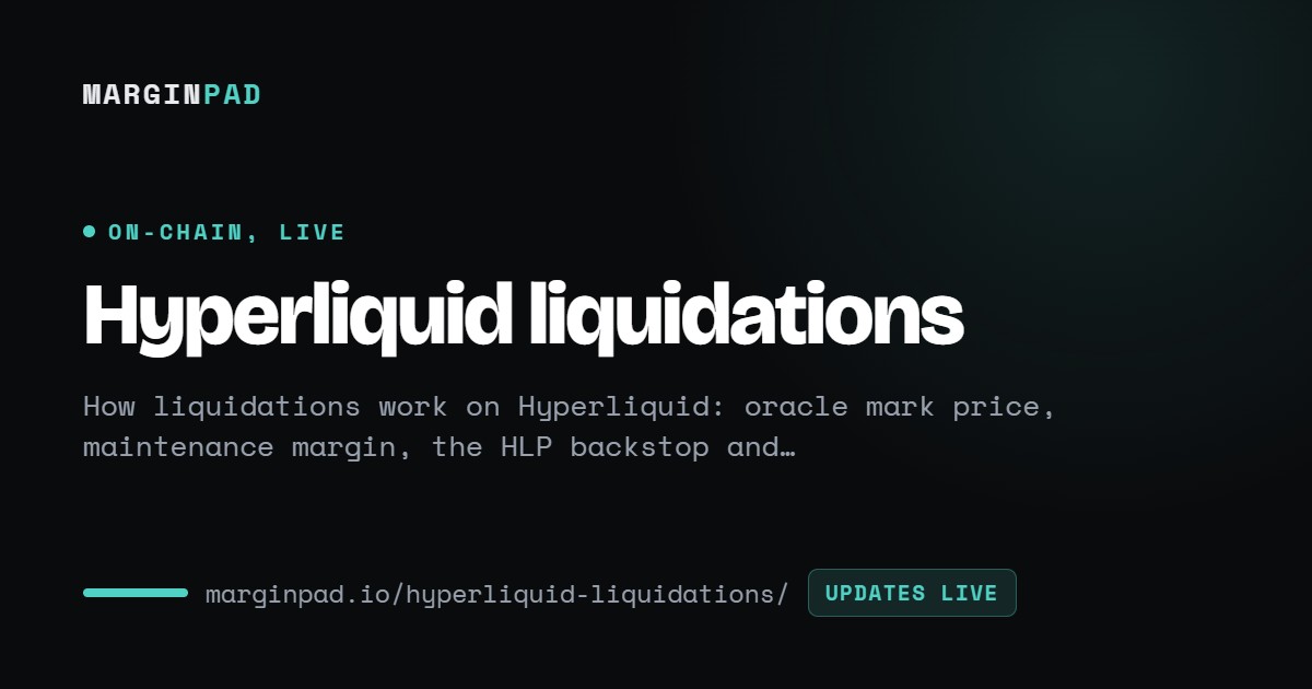 Hyperliquid Liquidations - Live Liquidation Levels & How They Work ...